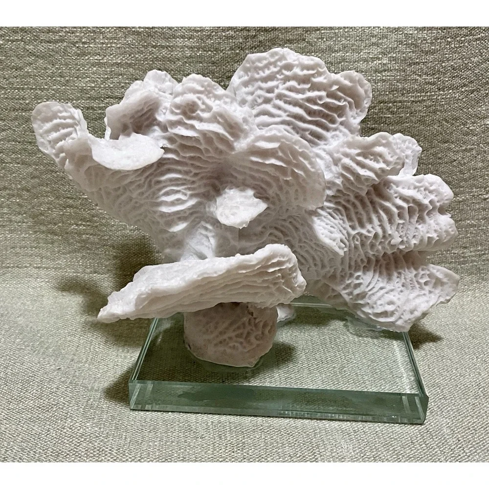 Faux White 9